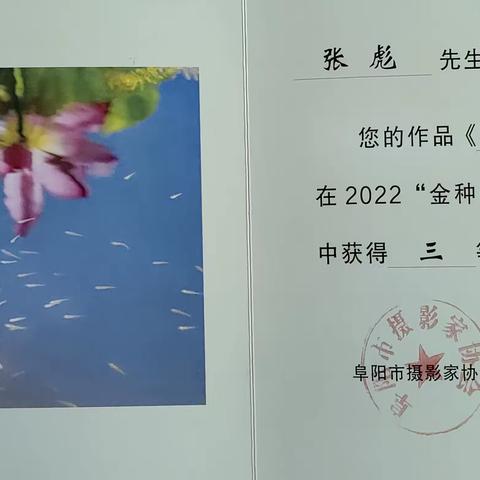 摄影班学员2022年在市摄影协会举办的 《金种子馥合香怀》摄影比赛获奖情况