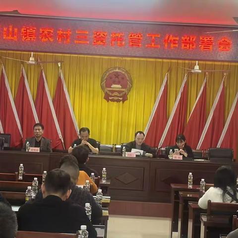 灵山镇农村三资托管工作部署会