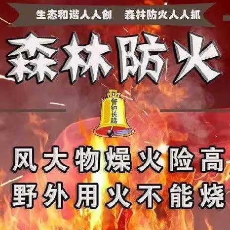 筑牢森防“铜墙铁壁”——江边林场做好春防各项工作