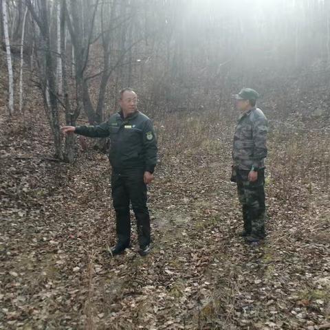 严踏查、筑防线！江边林场扎实做好防火阻隔带点烧前准备工作