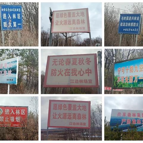 江边林场高标准完成森林防火宣传内容自查工作