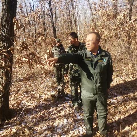 以责为纲，以干为要——江边林场“三清”行动绘就金秋森林安全新图景