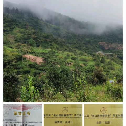 麻栗坡县垮土瑶寨（2025年版）