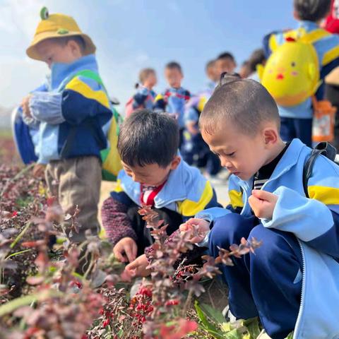 “秋日寻景，拥抱自然” 镇原县南区幼儿园秋游活动 之苗苗四班旅行篇