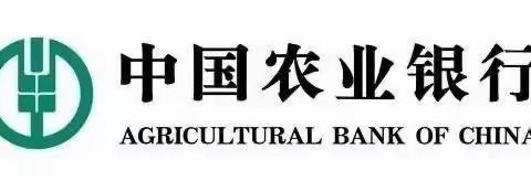 【Day1】中国农业银行武汉分行2023年信用卡拓户风暴项目小结