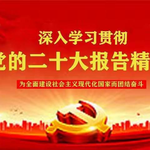 中共黑龙江德雷律师事务所联合党支部深入学习贯彻党的二十大报告精神