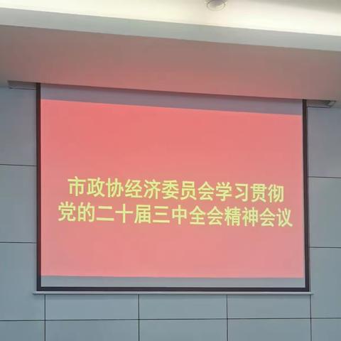 市政协经济委员会学习贯彻党的二十届三中全会精神