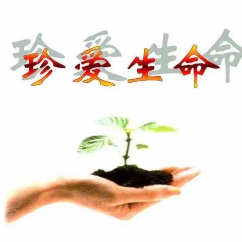 懂得生命美好，学会珍爱生命——二年级主题班队会