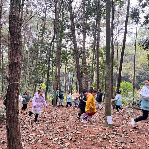 东风实验学校附属铁山坪幼儿园大班森林课程《情绪理发师》