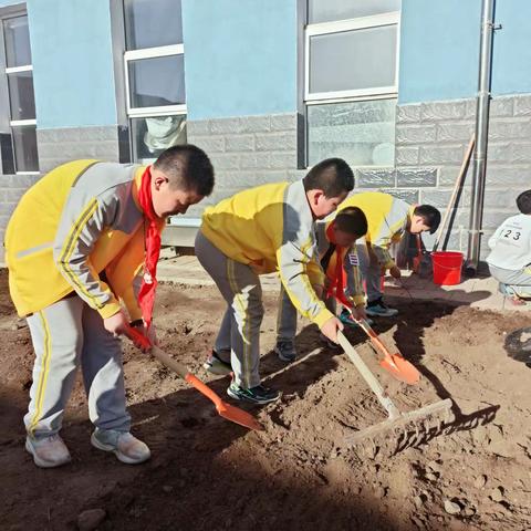 快乐劳动——体会种菜乐趣！