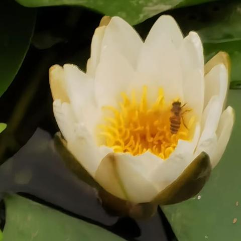 植物园随拍2023
