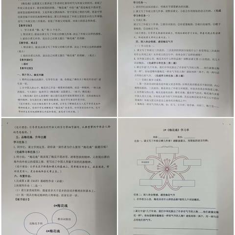 凌寒怒放寄春君      顶天立地中国人 --------记黄秀娟老师的公开课《梅花魂》