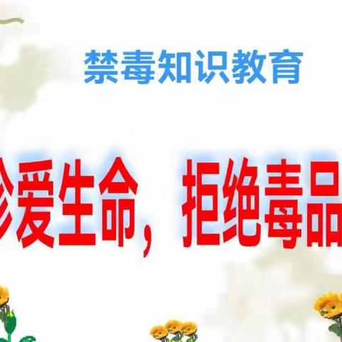 反诈禁毒齐宣传 凝心聚力护平安——秦塘社区进学校举行反诈禁毒活动