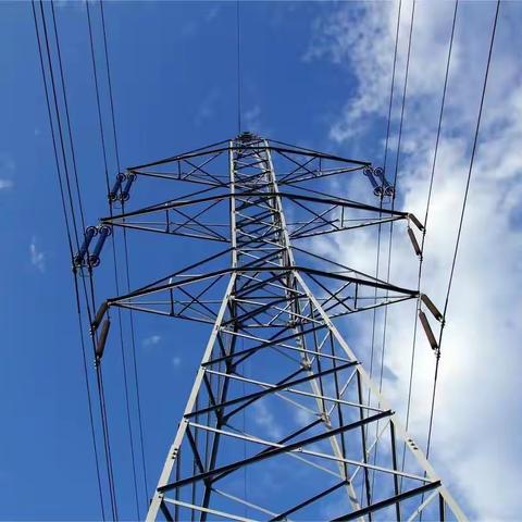 【优创林分公司】精密谋划 周密部署 确保大修工程按时完成