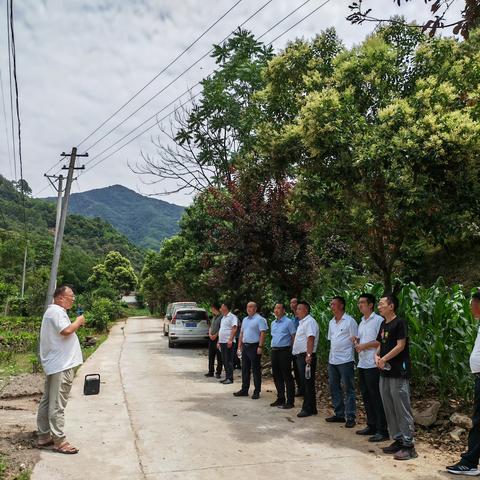 庙沟镇开展秦岭山水乡村建设暨“两改两转三促进”观摩活动