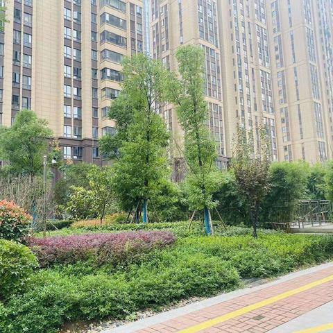 都市申新花园九月工作简报