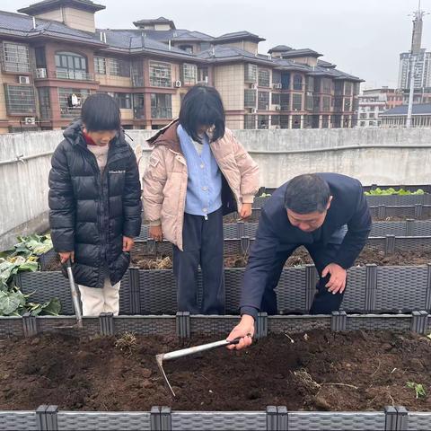 烹饪种植我都行，劳动实践欢乐多