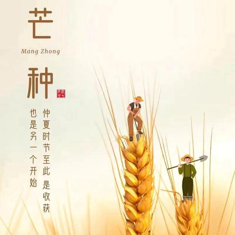 耕种美好，“芒”有所得～舌尖上的树小食谱（第十六周）