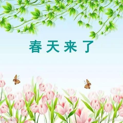 花🌷草🌱叶🍃