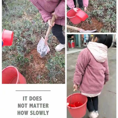 小手拉大手，全民植绿谱新篇—乐乡街道车阳河小学植树节活动