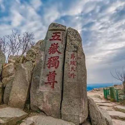 泰山灵芝登泰山保平安祈福游