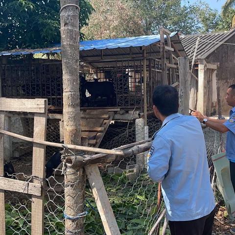 “我为群众办实事”今日畜疫病排查