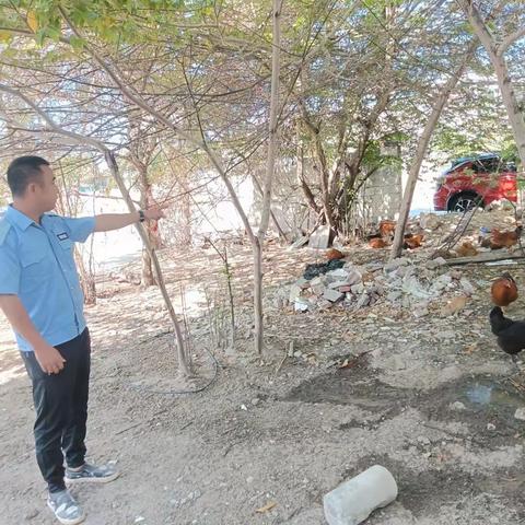 天涯区农业农村局巩卫整改报告