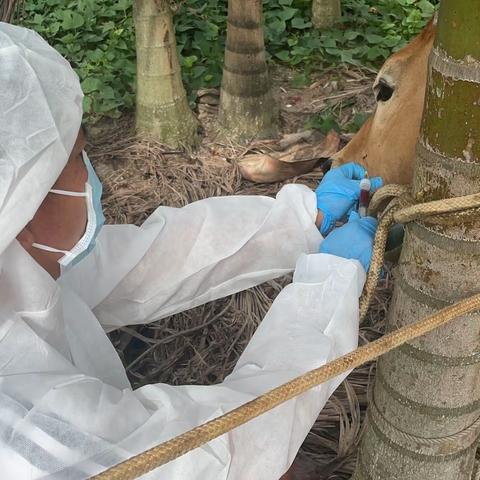 我为群众办实事、天涯区农业农村局防疫员下村工作。