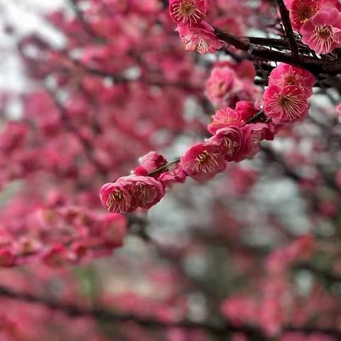 暖心相伴，共育花朵——走进南中