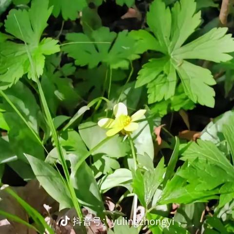 你在我心中，我便拥有整个世界 作者：任建林        推荐阅读＋