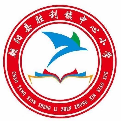 落实校园安全排查，牢筑学校安全防线——胜利镇中心小学校园安全大排查