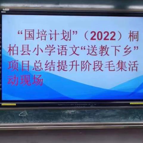 成果展示精彩纷呈，总结提升再绘新篇——“国培计划”（2022）桐柏县小学语文“送教下乡”总结提升阶段