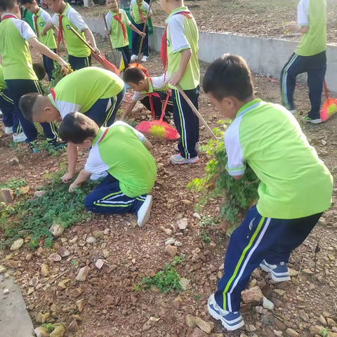 海南师范大学附属三亚学校小学二部 开展主题“爱国卫生运动，从你我做起”简报