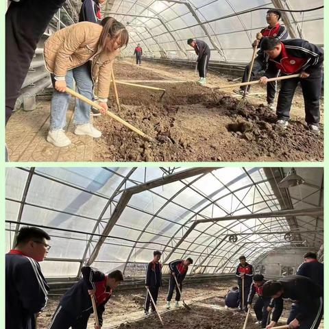 大棚里的春天，抢抓农时不负青春——讷河职教中心农业机械部春播纪实