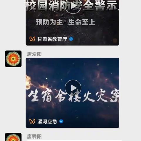 防患于未然，消防无小事——海南东智庄园私立幼儿园开展消防安全线上培训