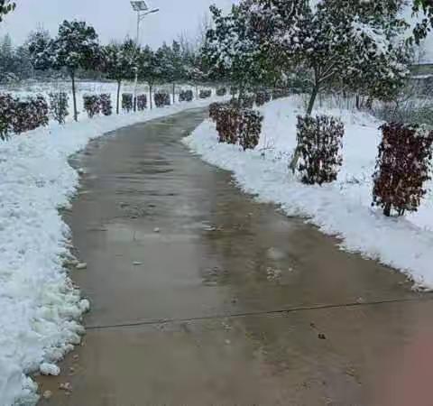 致敬！俺村里的扫雪人