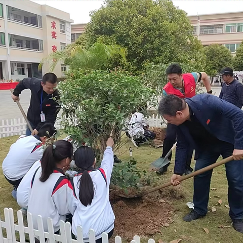 校村携手植新绿  桂花香溢满校园