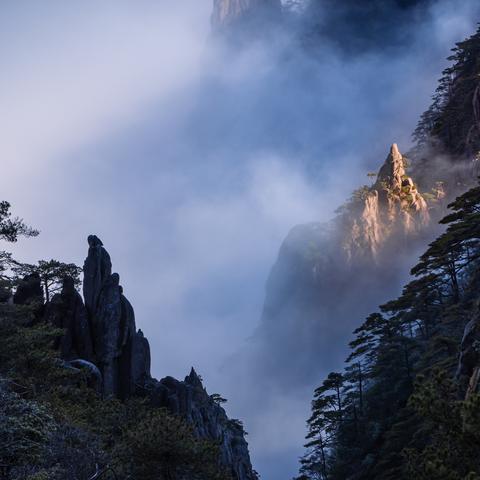 黄山雾景