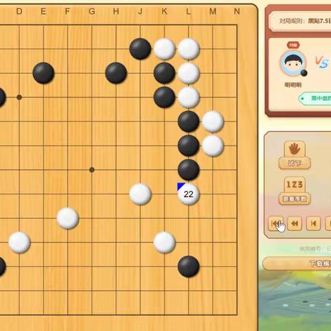 黑棋13路围空演示