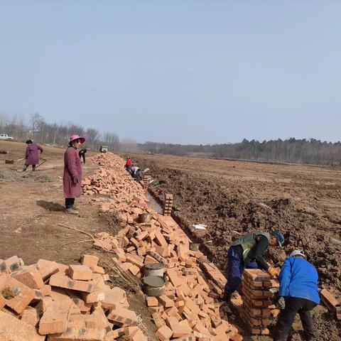 2022年凤阳县殷建镇沙涧村高标项目