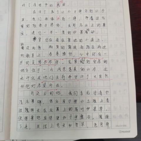 《清明印象》作文展评