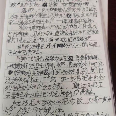 一只黄蜂飞进教室