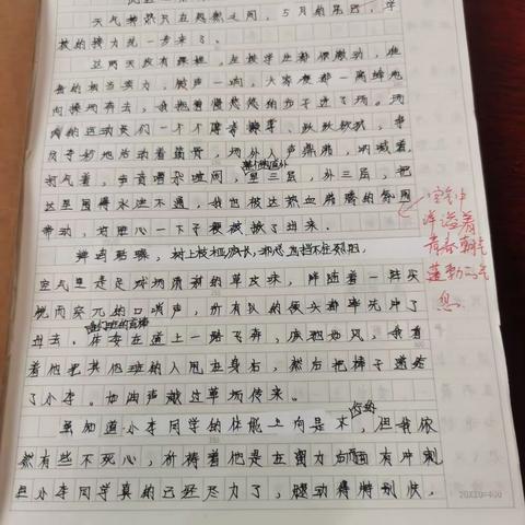 2316班“青春”话题作文展评