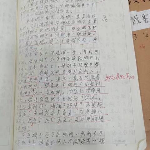 以“节日”为题材写一篇文章，注意形散神聚 2316班作文展评