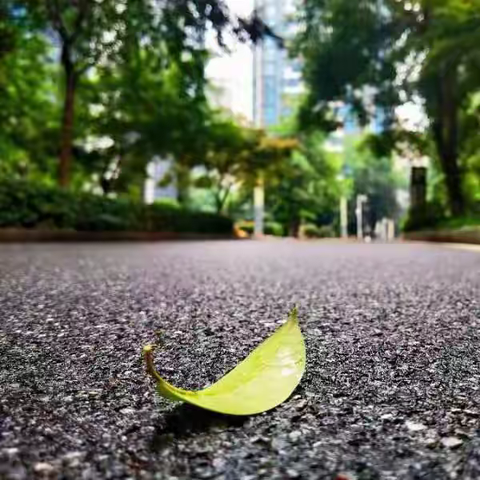 这种情况下用九味羌活汤，其实是学术的倒退!