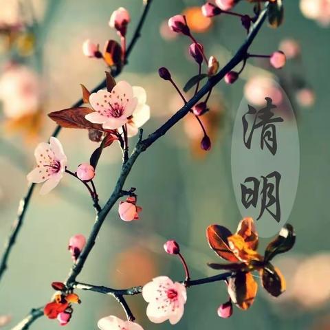 清明祭英烈 ———郭家峪学区清明节活动美篇