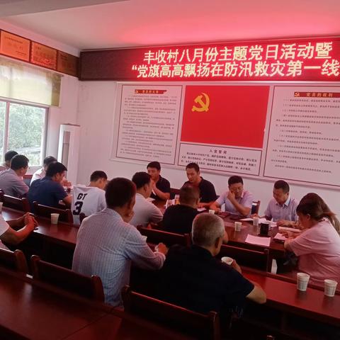 丰收村党支部开展“党旗高高飘扬在防汛救灾第一线”主题党日活动