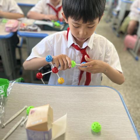 云兴小学四2班鲨鱼公园STEM主题科学课程《蛋白质很“忙”》课程剪影