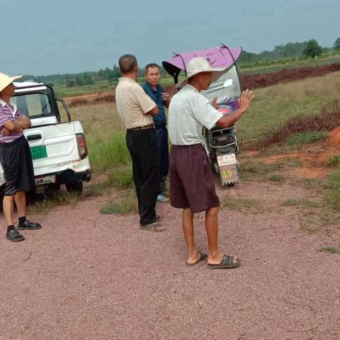 村小组山权纠纷 镇干部耐心调解