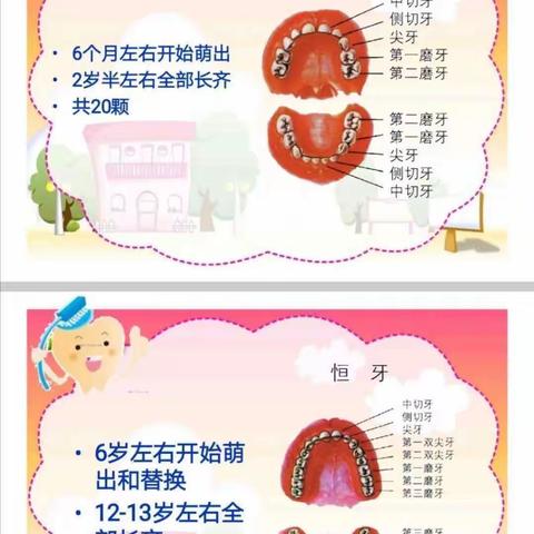 “爱牙护牙，从小做起”——澜西园二区幼儿园“爱牙日”活动